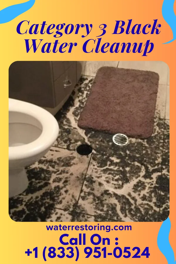 Category 3 Black Water Cleanup in Sturgis, SD